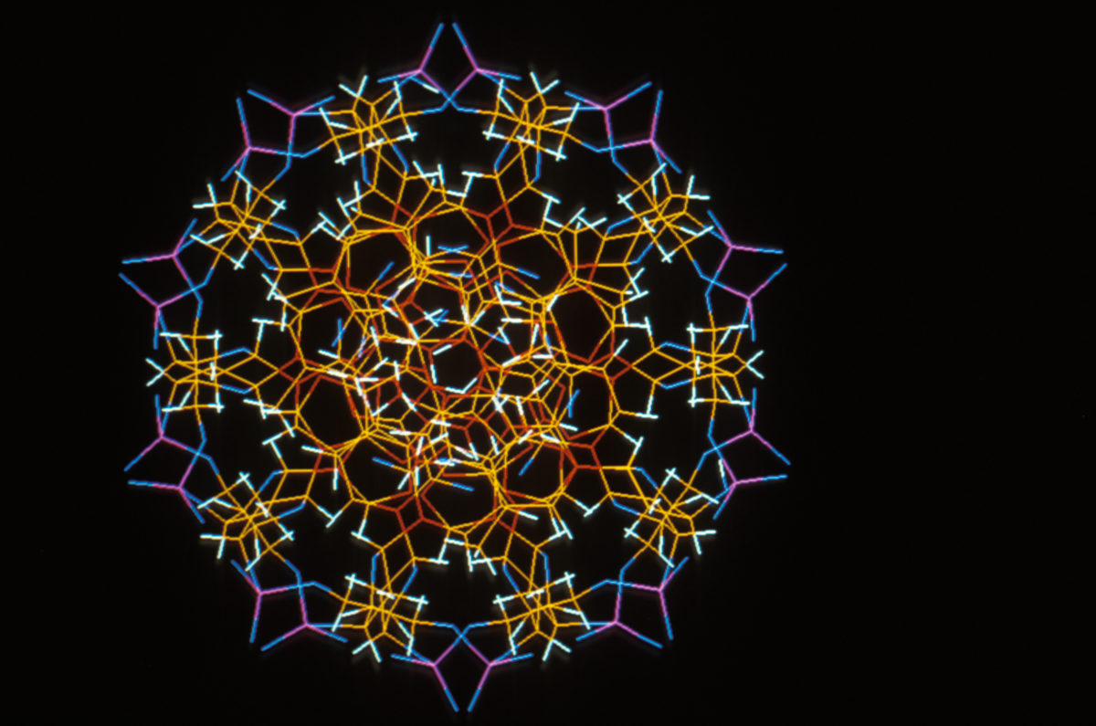 inserm_6695.jpg