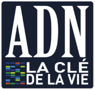 EXPOSITION “ADN, LA CLÉ DE LA VIE”